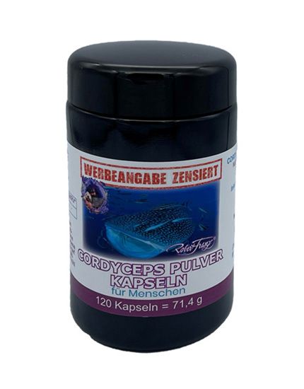 Cordyceps Pulver Kapseln
